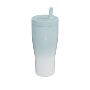 Insulated Straw Water Bottle