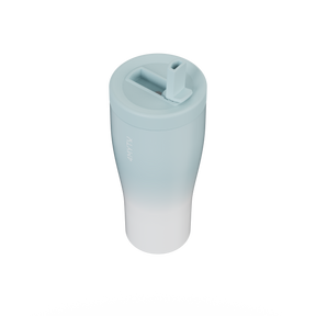 Insulated Straw Water Bottle